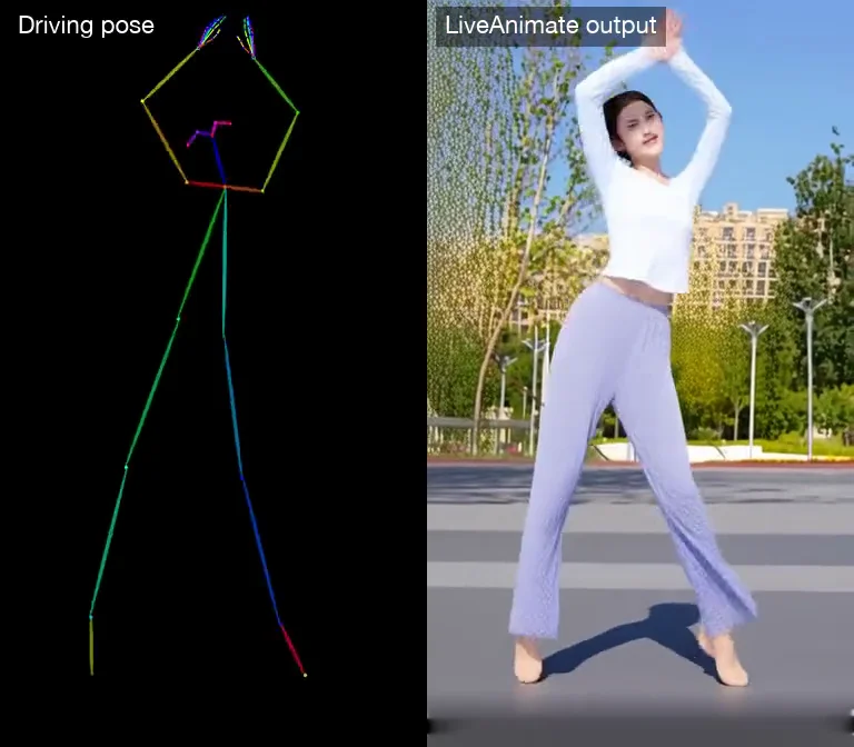Driving pose skeleton and LiveAnimate output side by side